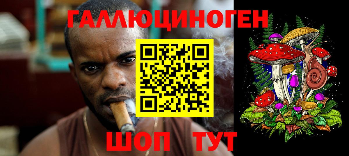 Астрахань  Галлюциногенные грибы Psilocybine cubensis  Вход с VPN 